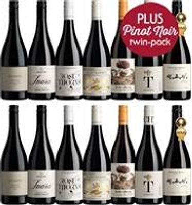 Pinot Noir Youll Adore  Plus
