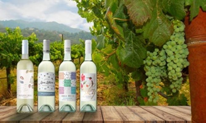 12-Bottle Case of or Sauvignon Blanc (Dont Pay up to $270)