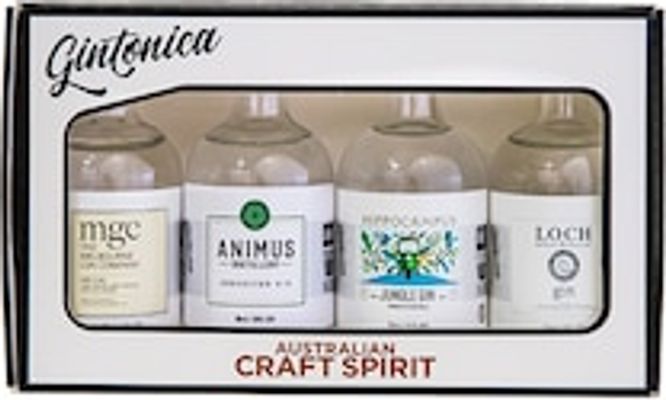 Gintonica n Craft Gin Tasting Pack - Vibrant (4x50ml)