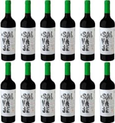 Casa De Uco El Salvaje Pinot Noir (Certified Organic) s