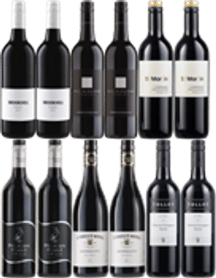 Discovery Red Mix Plus Free Bleasdale Shiraz x13