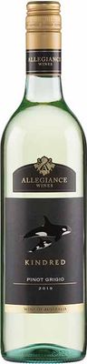 Allegiance Wines Kindred Pinot Grigio