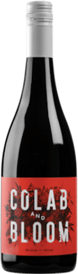 Colab and Bloom Shiraz