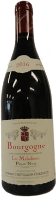 Domaine Chevillon-Chezeaux Bourgogne Pinot Noir Les Maladieres